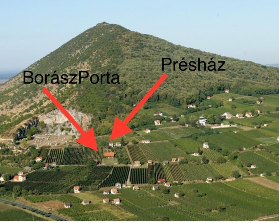 ホテル Boraszporta - Preshaz ヴィッラーニ エクステリア 写真